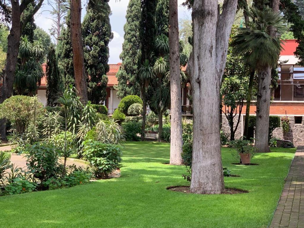 Hotel Express Quinta Soledad Mexico City Exterior photo
