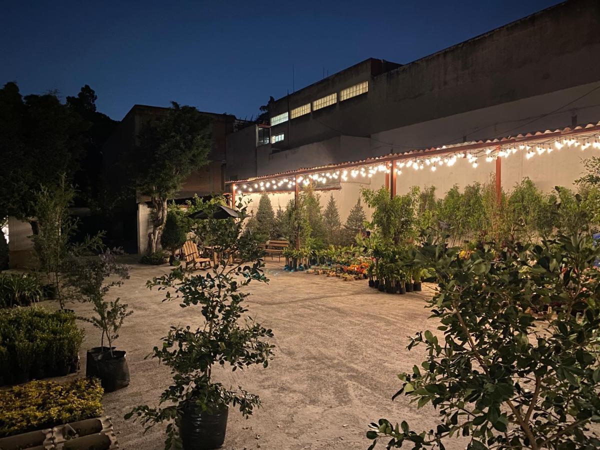 Hotel Express Quinta Soledad Mexico City Exterior photo