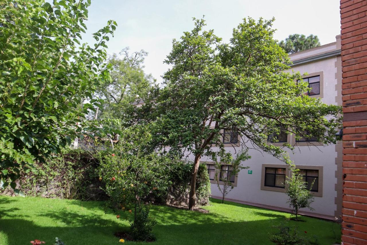 Hotel Express Quinta Soledad Mexico City Exterior photo