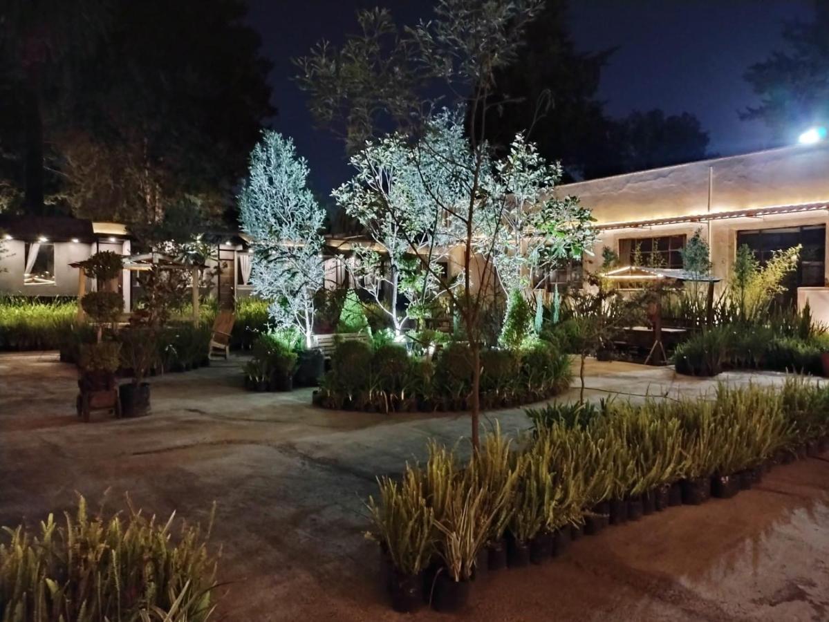 Hotel Express Quinta Soledad Mexico City Exterior photo