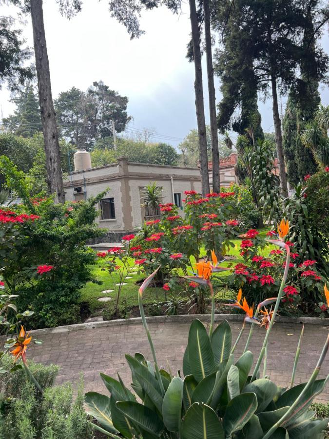 Hotel Express Quinta Soledad Mexico City Exterior photo
